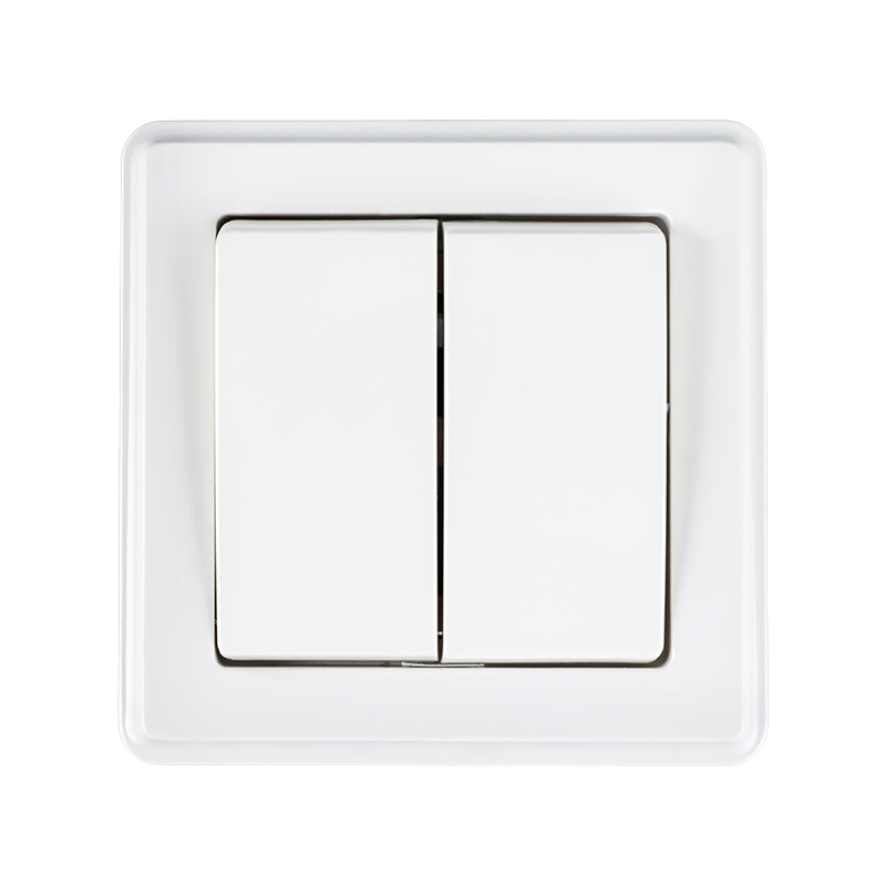 216003-2G 1W Switch Flush Type