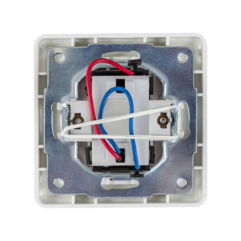 216011-1G 1W Switch With Lamp Flush Type